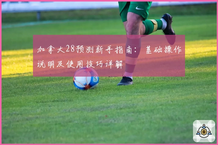 加拿大28预测新手指南：基础操作说明及使用技巧详解