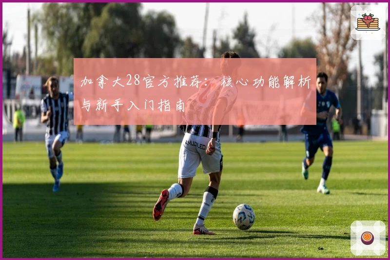 加拿大28官方推荐：核心功能解析与新手入门指南