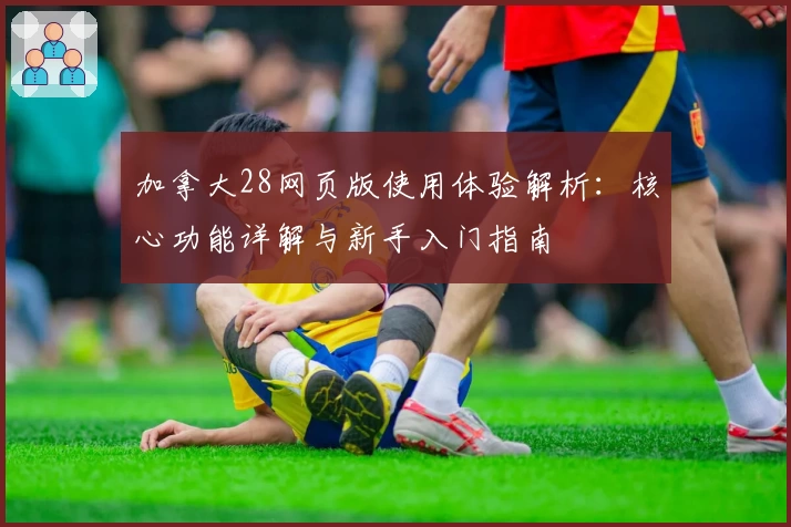 加拿大28网页版使用体验解析：核心功能详解与新手入门指南