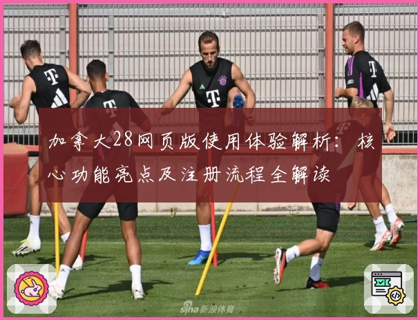 加拿大28网页版使用体验解析：核心功能亮点及注册流程全解读