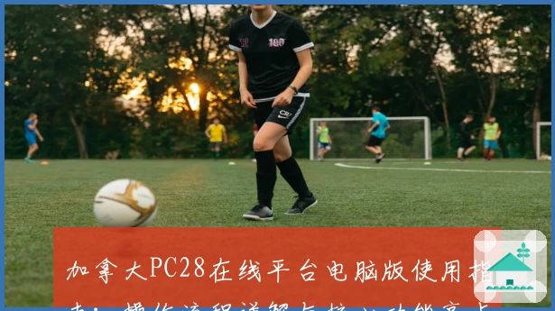 加拿大PC28在线平台电脑版使用指南：操作流程详解与核心功能亮点解析