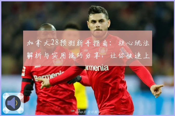 加拿大28预测新手指南：核心玩法解析与实用技巧分享，让你快速上手