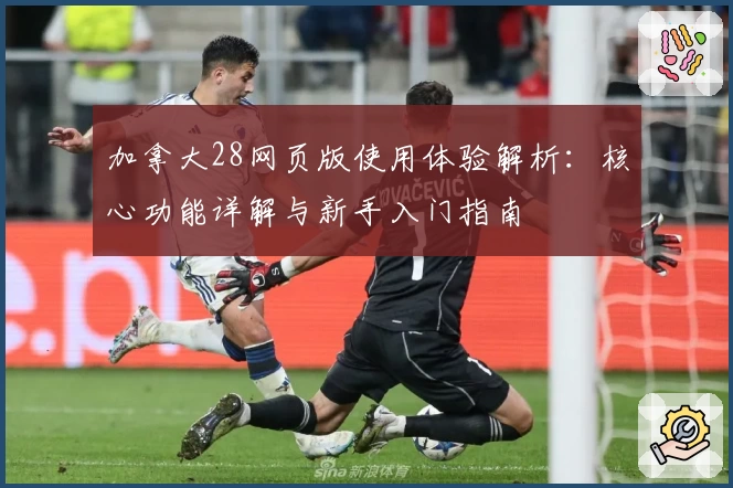 加拿大28网页版使用体验解析：核心功能详解与新手入门指南