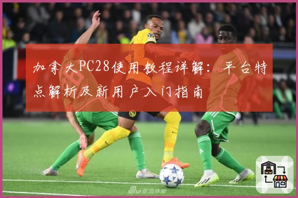 加拿大PC28使用教程详解：平台特点解析及新用户入门指南