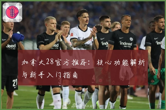 加拿大28官方推荐：核心功能解析与新手入门指南